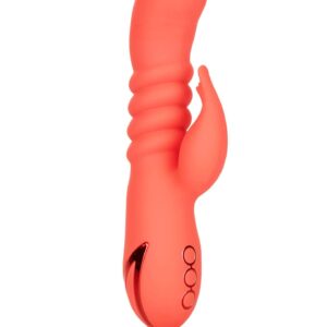 Orange County Cutie Orange