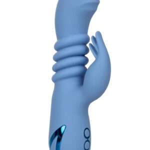 Santa Cruz Coaster Blue