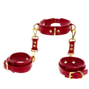 D-Ring Collar and Wrist Cuffs Red