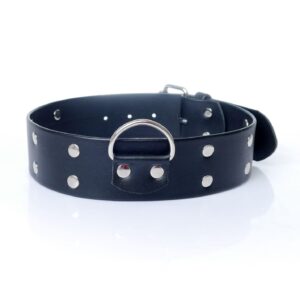 Fetish B - Series Collar with studs 4 cm