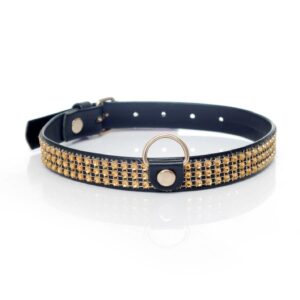 Fetish B - Series Collar with crystals 2 cm gold