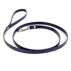 Fetish B - Series Leash