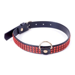 Fetish B - Series Collar with crystals 2 cm Red Line