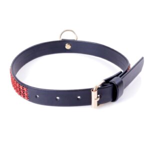 Fetish B - Series Collar with crystals 2 cm Red Line