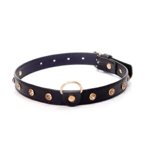 Fetish B - Series - Collar 2 cm gold crystal