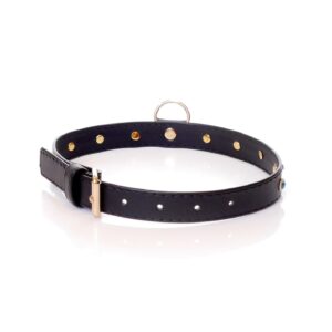 Fetish B - Series Collar - 2 cm turquoise crystal