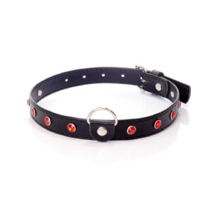 Fetish B - Series Collar - 2 cm. red crystal