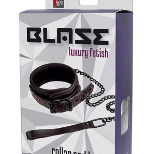 BLAZE COLLAR AND LEASH PURPLE