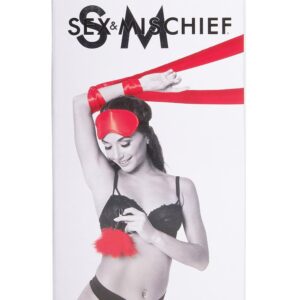 SPORTSHEETS SM AMOR BONDAGE BEGINNER KIT