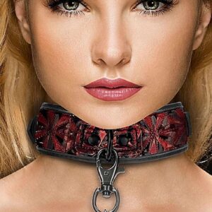 Luxury Collar with Leash - Burgundy