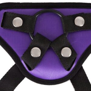 Universal Harness + 3 Rings