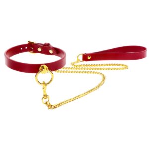 O-Ring Collar and Chain Leash Red