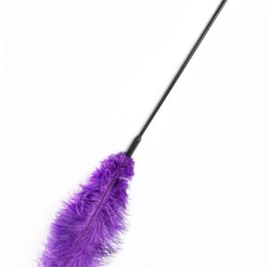 Double Feather Tickler Purple