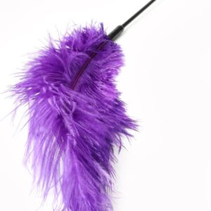 Double Feather Tickler Purple